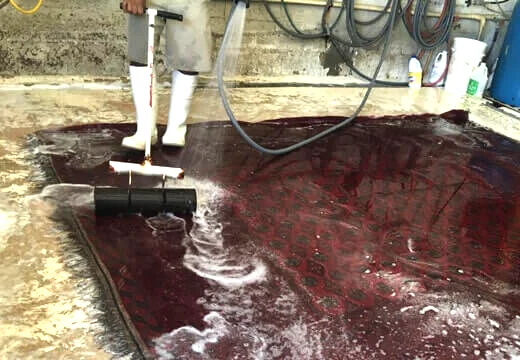 Pet Odor & Stain Removal Pet Odor & Stain Removal